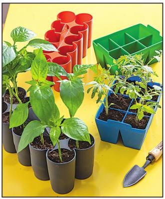 Seed-starting trays are reusable and make it easy to pop out young seedlings without damaging the plant’s roots. Photo Courtesy / Gardener’s Supply Company