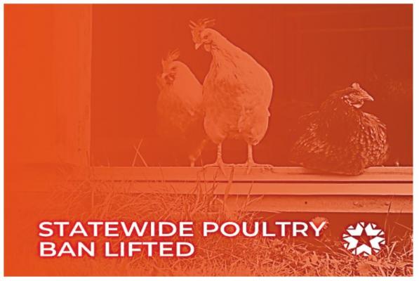 Oklahoma Statewide Poultry Ban Lifted