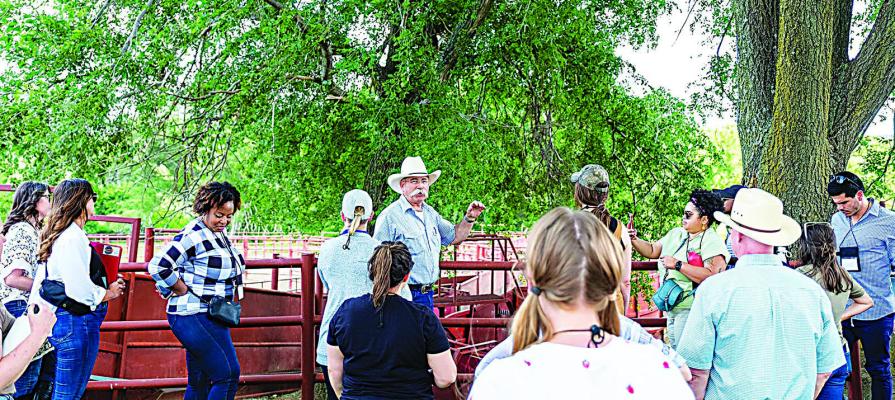 Dietitians experience ranching, learn beef nutrition
