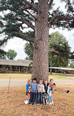 Boswell 2 Head Start had the opportunity to take their classroom outdoors to explore nature and learn about the different types of trees recently.