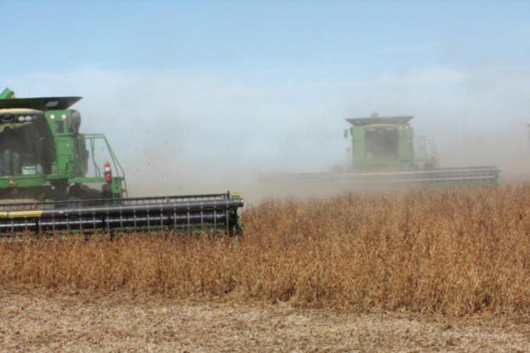U.S. soybeans are exported all over the world and provide numerous food and fuel products.