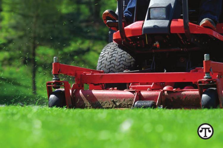 Checklist: The right equipment to create the yard of your dreams
